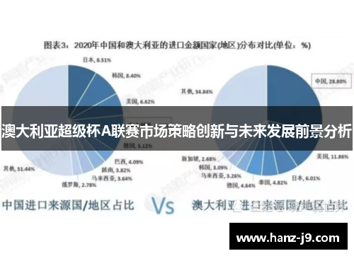 澳大利亚超级杯A联赛市场策略创新与未来发展前景分析