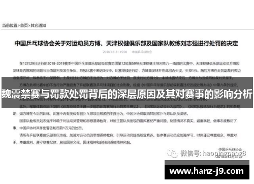 魏震禁赛与罚款处罚背后的深层原因及其对赛事的影响分析